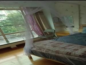 名雅居 1室1厅 43㎡ 精装中山石岐街道岐头社区二手房图片