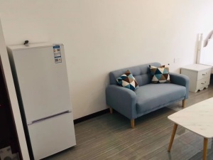 蓝钻双子座楼 1室1厅 42㎡ 精装中山石岐街道第一城小学二手房图片