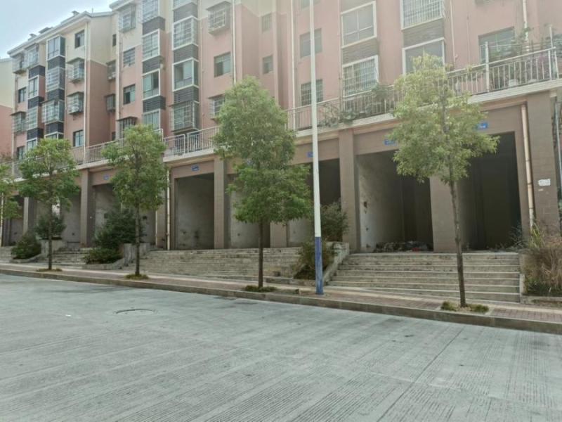 宜章县玉溪镇马耳冲小区一期35栋101号商业门面法拍房图片2