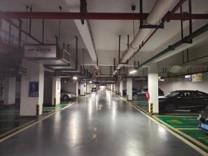 广州市增城区新塘镇广园东碧桂园凤凰城凤馨苑地下车库九区地下层088号_广州法拍房图片
