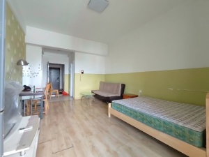 蓝钻星座国际公寓 1室1厅 37㎡ 整租_中山东区街道库充租房图片