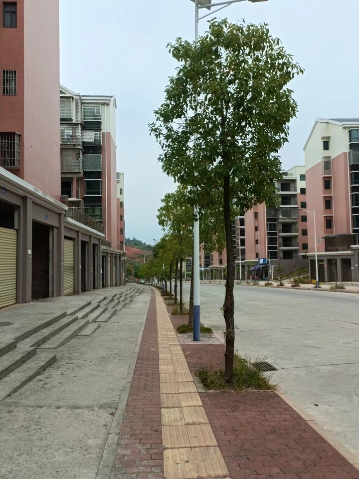 宜章县玉溪镇马耳冲小区二期36栋103号商业门面法拍房图片2