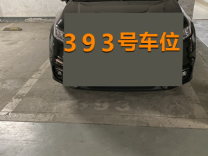 南京市江宁区汤山街道麒东路777号东郊小镇第十一街区地下室B393号车位_南京法拍房图片