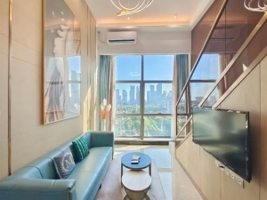 星美新外滩 1室1厅 55㎡ 整租衡阳蒸湘区区政府北租房图片