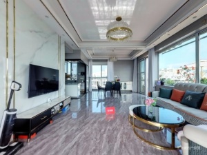 海德东方骏园 5室2厅 151.83㎡ 精装_中山港口镇华师附中二手房图片