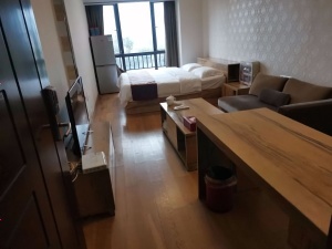 TPARK时尚公园 1室1厅 39㎡ 整租_惠州仲恺仲恺租房图片