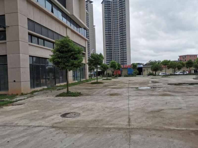 中山市三角镇旭日盛世园4幢102房的房地产法拍房图片3