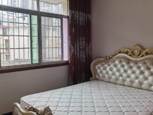 金星国际 1室1厅 48㎡ 整租衡阳耒阳市耒阳市租房图片