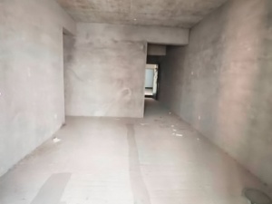 山水芳邻 3室2厅 90.36㎡ 毛坯_惠州惠阳区秋长二手房图片