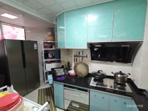 大信君汇湾 2室2厅 86㎡ 精装中山石岐街道轻轨北站二手房图片