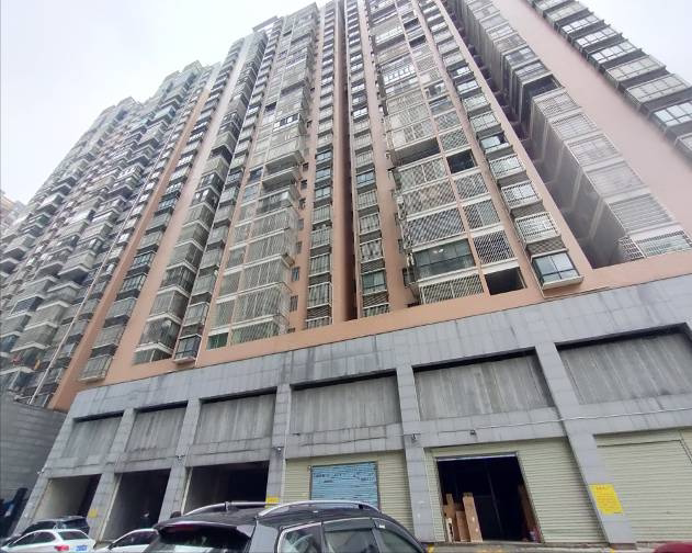 湖南省耒阳市群英南路鹏城花苑2号楼103室法拍房图片4