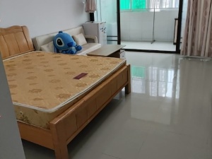 金典水岸 1室1厅 43㎡ 整租_惠州惠城区东江新城租房图片