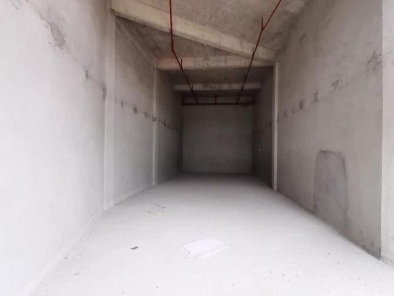 中山市三乡镇大布村桂新路1号畔山悦景花园115卡法拍房图片1