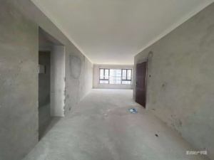 龙山华府 4室2厅 215㎡ 毛坯_中山小榄镇小榄镇二手房图片