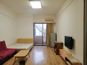 蓝钻星座国际公寓 1室1厅 40㎡ 整租_中山东区街道库充租房图片