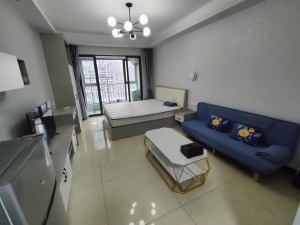 东方天城 1室1厅 45㎡ 整租清远清城区新城租房图片