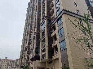 衡南县三塘镇三鹰路(阳光大院1栋)2803室_衡阳法拍房图片