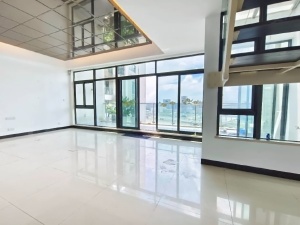 华发世纪城二期 4室2厅 277㎡ 整租珠海香洲区南湾租房图片