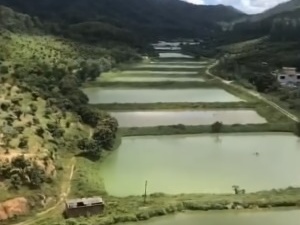 保利远洋领秀山 3室2厅 97.06㎡ 精装_中山五桂山街道长命水二手房图片