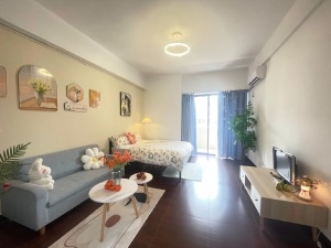 蓝钻星座国际公寓 1室1厅 48㎡ 整租_中山东区街道库充租房图片