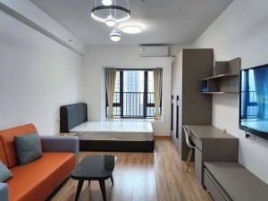 碧桂园衡州盛世 1室1厅 42.2㎡ 整租_衡阳蒸湘区陆家新区租房图片