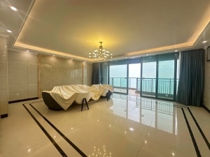 天宸 4室2厅 252㎡ 整租珠海香洲区老香洲租房图片