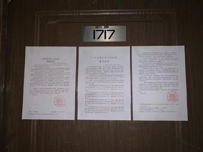 惠东县稔山镇大埔屯富茂海滨城熙景湾A6栋17层17号房法拍房图片4