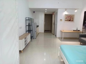 板芙纯水岸 1室1厅 40.38㎡ 精装_中山板芙镇板芙镇二手房图片