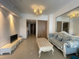 恒大绿洲 1室1厅 56㎡ 整租_衡阳蒸湘区陆家新区租房图片