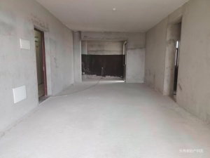 水岸湾豪庭 4室2厅 173.74㎡ 毛坯_中山古镇镇古镇镇二手房图片