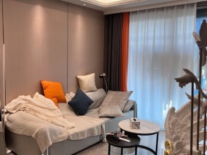 禧诚雁巢 1室1厅 45㎡ 整租衡阳雁峰区岳屏公园租房图片