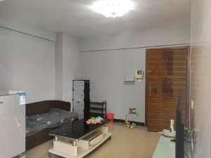 东尚新地 1室1厅 60㎡ 整租中山东区街道沙岗墟租房图片