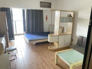 宝晟公馆 1室1厅 38.9㎡ 整租_惠州惠城区龙丰租房图片