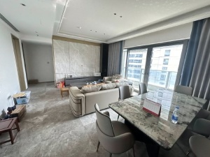 世茂深港国际中心 3室2厅 158.5㎡ 整租深圳龙岗区大运新城租房图片