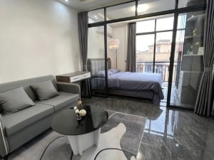 和平路行政公馆 1室1厅 50㎡ 整租_衡阳雁峰区岳屏公园租房图片