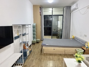 愉景新城 1室1厅 42㎡ 整租衡阳蒸湘区呆鹰岭租房图片