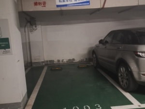 衡阳市雁峰区蒸湘南路128号雁峰商业城花园里19栋2806室三号地下室-1003室的一套住宅和一套车库用房_衡阳法拍房图片