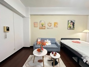 蓝钻星座国际公寓 1室1厅 48㎡ 整租_中山东区街道库充租房图片