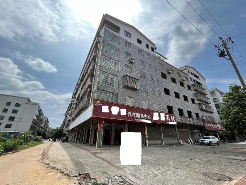 衡南县新县城12-15号地（王件友等）105室法拍房图片2