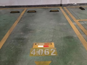 中山市横栏镇发展路宝贵街2号珑熙郡花园1-9幢地下车库4-062号车位_中山法拍房图片