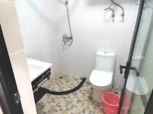 蓝钻星座国际公寓 1室1厅 42㎡ 整租_中山东区街道库充租房图片