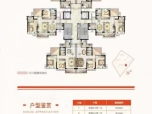 信业尚上名筑 3室2厅 85.56㎡ 精装_中山东升镇坦背二手房图片