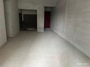 大大的家 3室2厅 100㎡ 毛坯_中山横栏镇横栏镇二手房图片