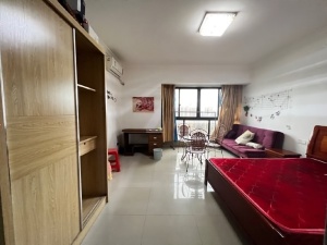 明兴翰苑 1室1厅 52㎡ 整租_衡阳蒸湘区华新租房图片