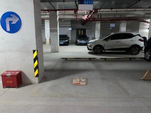 广州市花都区颐和盛世二街9号、五街9-12号地下车库-1039号车位_广州法拍房图片