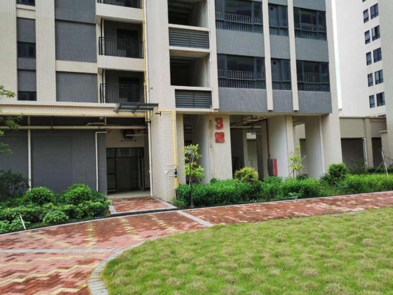 中山市三角镇旭日盛世园3幢204房的房地产法拍房图片3