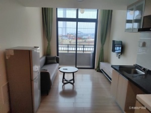 碧桂园柏坦尼雅 1室1厅 28.07㎡ 精装_中山南区街道茶业城二手房图片