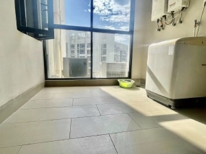 南湾国际 4室2厅 231㎡ 整租_南湾国际租房其他图片1