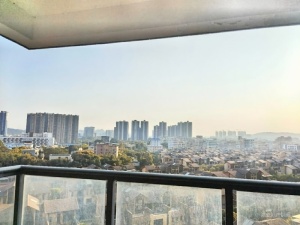 东部现代城三四期 2室2厅 83.84㎡ 毛坯_惠州惠阳区三和经济开发区二手房图片