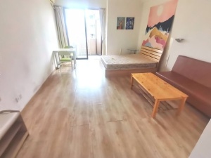 蓝钻星座国际公寓 1室1厅 37㎡ 整租_中山东区街道库充租房图片